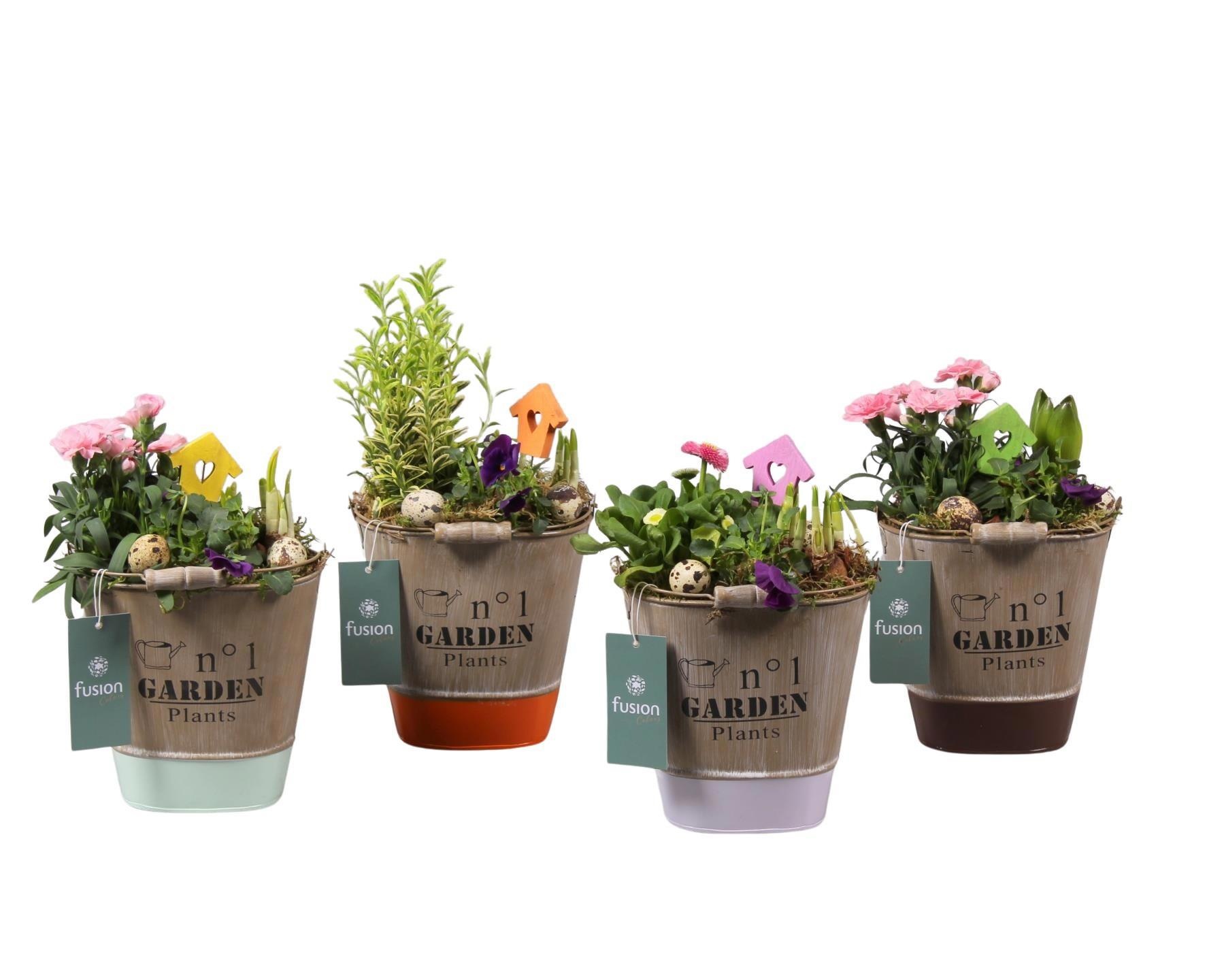 Zinken emmer ovaal 4 kleuren met arrangement, D 17