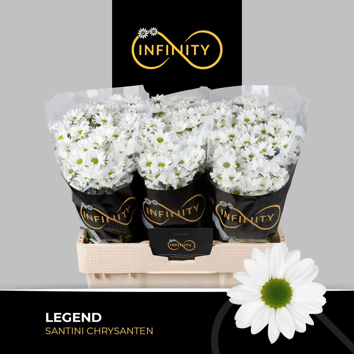 Сантини Ледженд, шт.