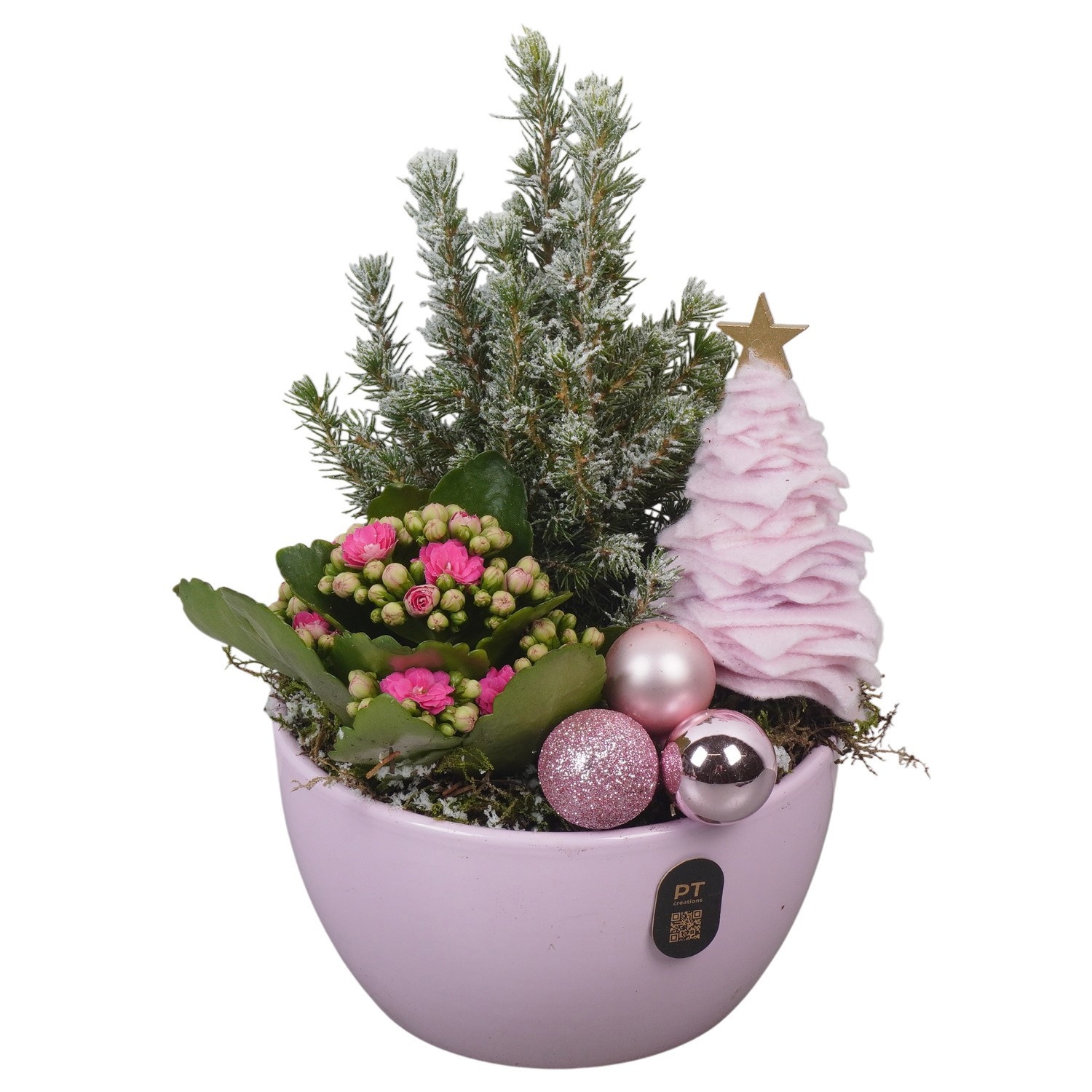 PTCHP8418 Arrangement Christmas Pink in keramiek schaal, D 16