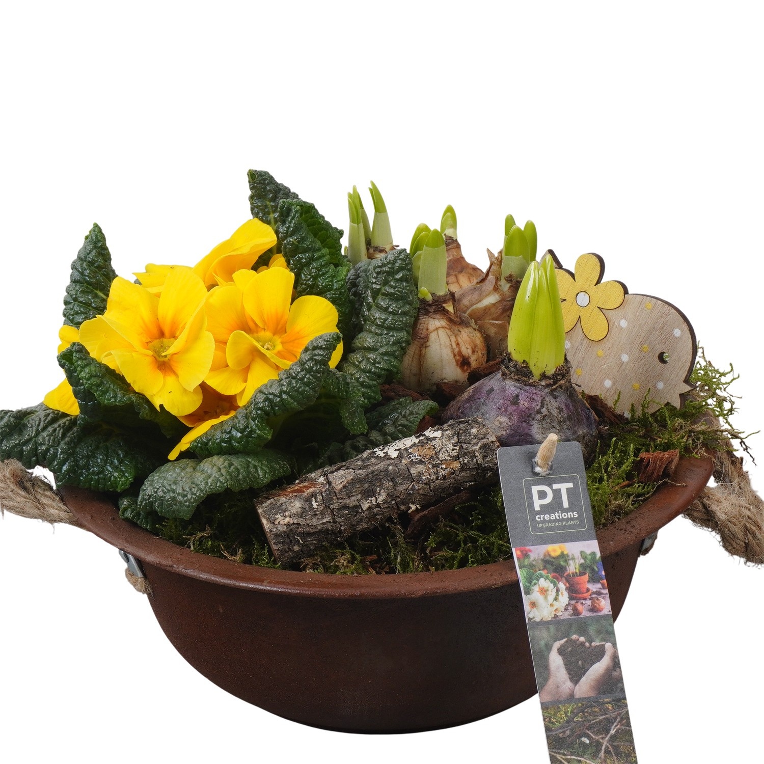 PTBM3720 Arrangement Flower Bulbs Mix in metalen schaal, D 24