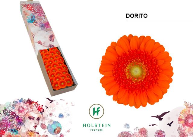 Гермини Дорито x60, шт.