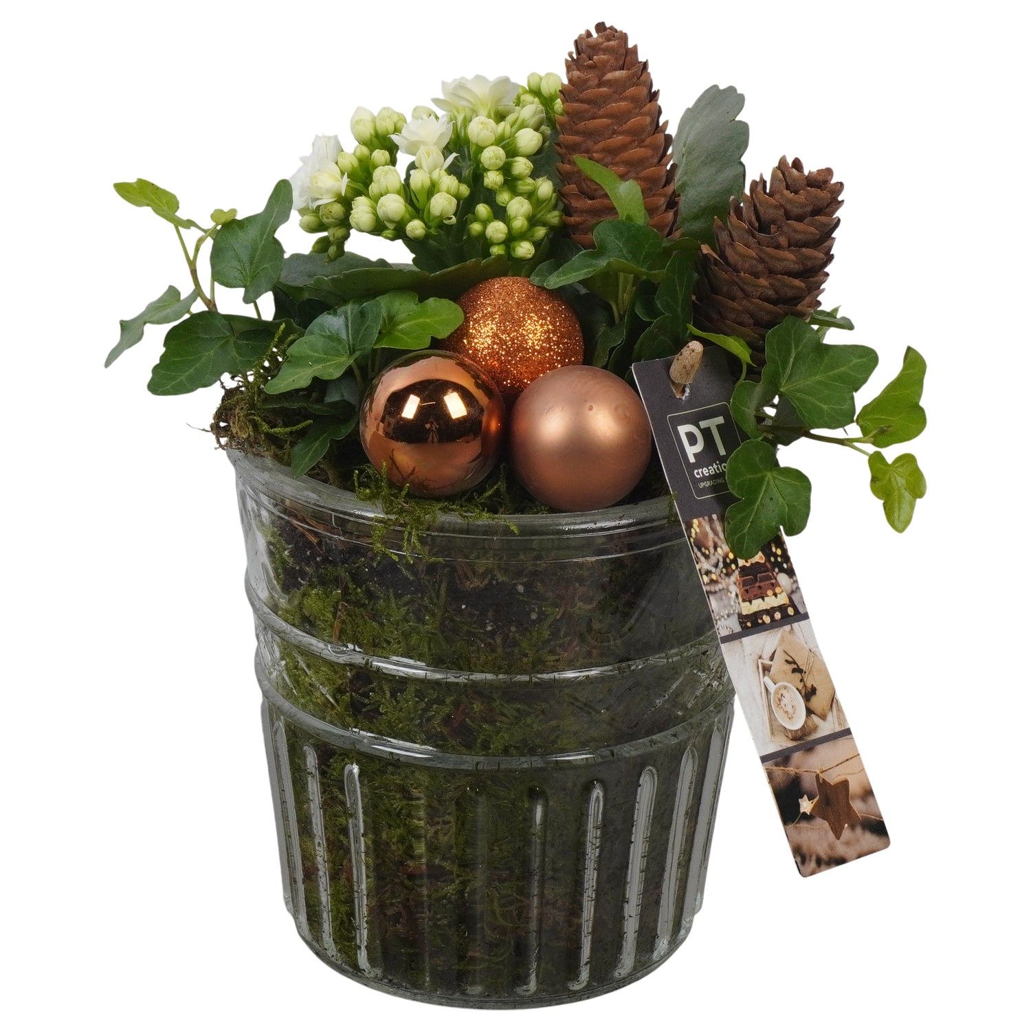 PTCHB9822 Arrangement Christmas Bronze in glazen pot, D 12 cm