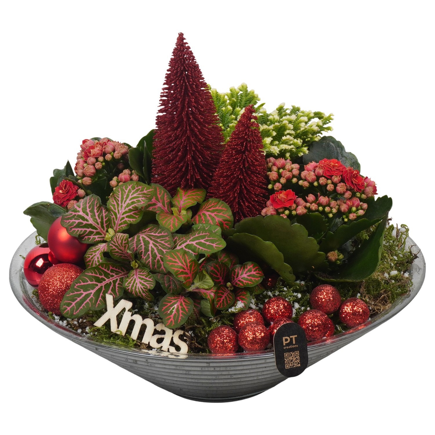 PTCHR9530 Arrangement Christmas Red in glas schaal, D 26