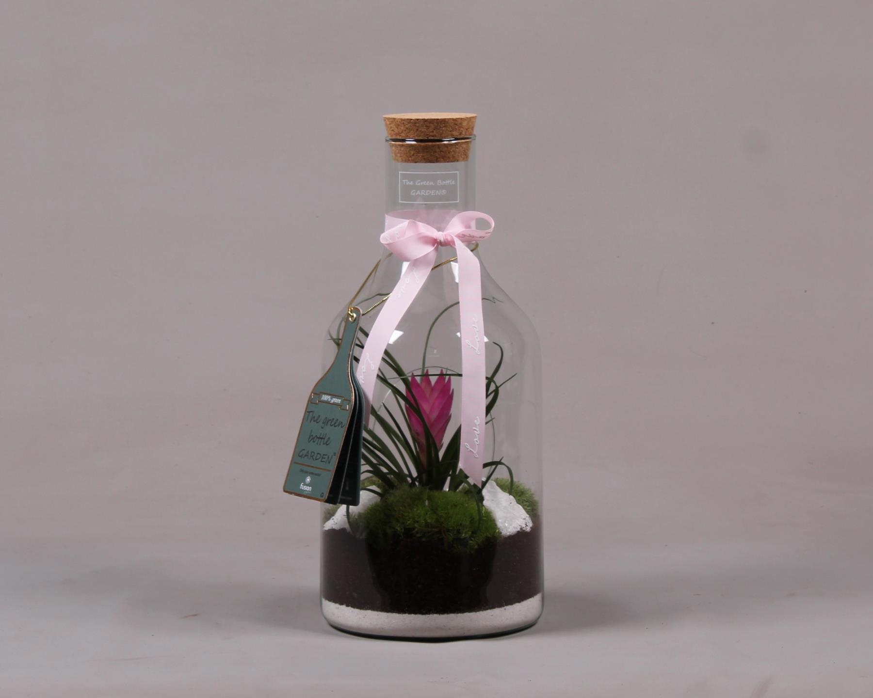 Green Bottle Fles Small met Tillandsia love, D 15
