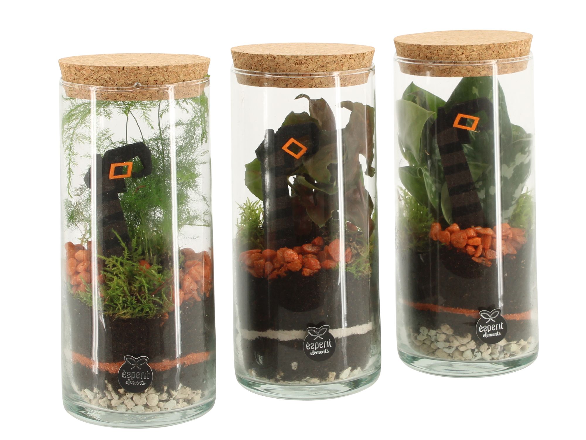 83283: Halloween terrarium, D 9 cm 83283: Halloween terrarium, D 9 cm