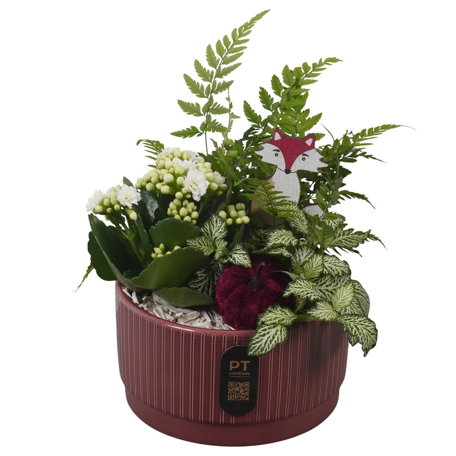 PTHI3207 Arrangement Autumn Indoor in keramiek schaal, D 16