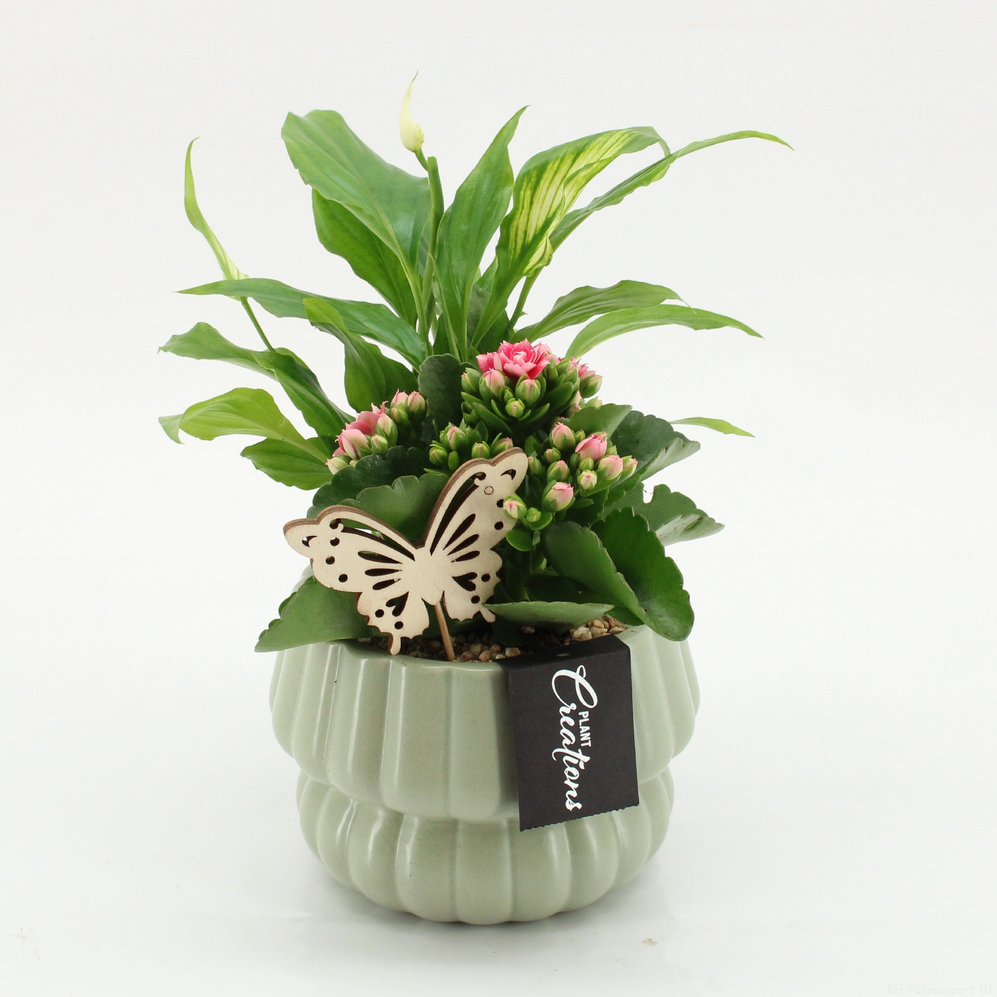 ESCR-2621RZ Essentials, D 14