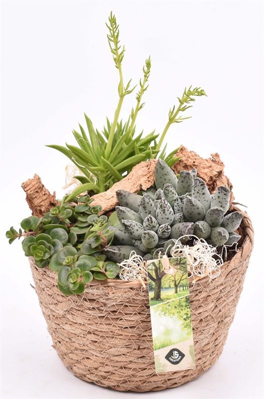 Touwmand naturel 18cm, D 18