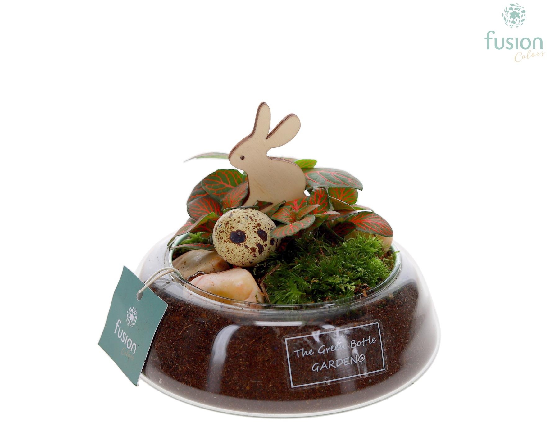 Green Bottle Christel Small Pasen met Fittonia, D 15