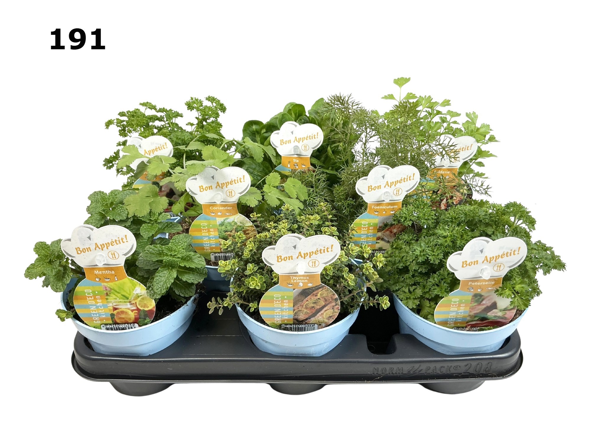 Kruiden 12 cm gemengd, D 12