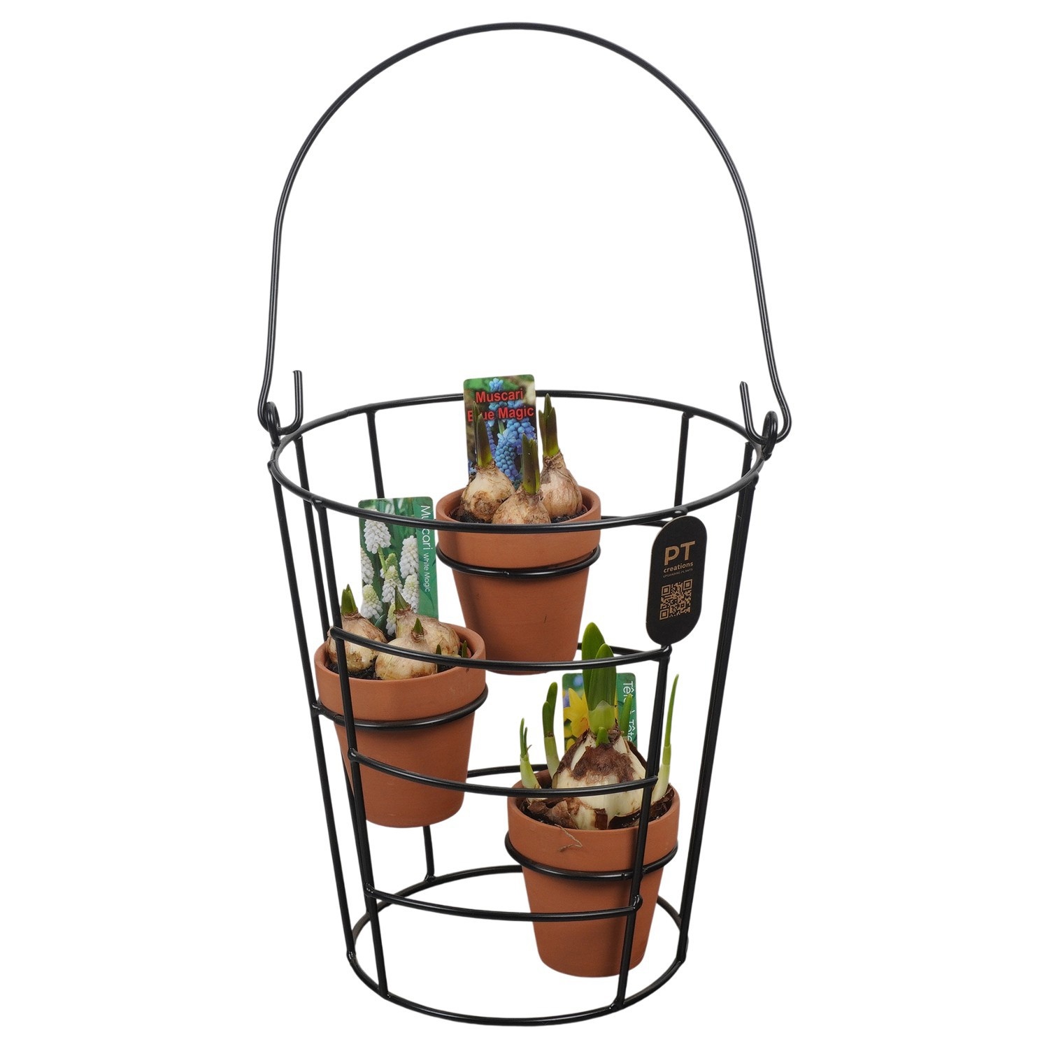 PTBM3959 Arrangement Flower Bulbs Mix in metaal met terracotta potjes, D 19