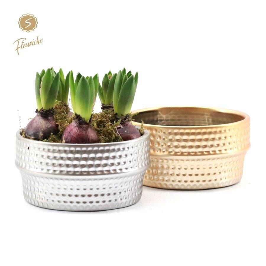 (5400) Hyacint Silver & Gold, D 17 cm