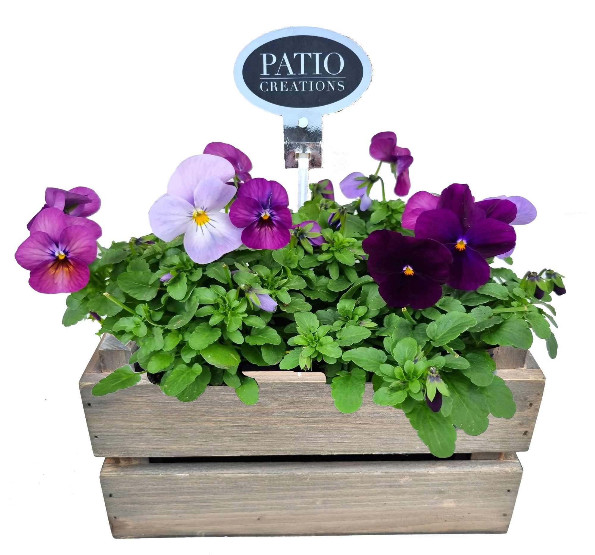 V790-9001 Viola houten kistje S, D 20 cm V790-9001 Viola houten kistje S, D 20 cm