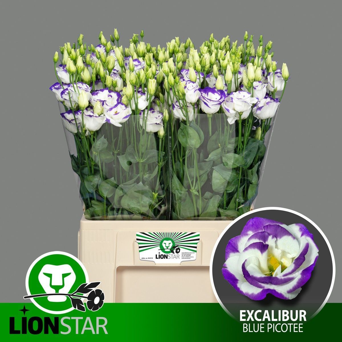 Эустома Экскалибур Блю Пикоти 65, шт.
