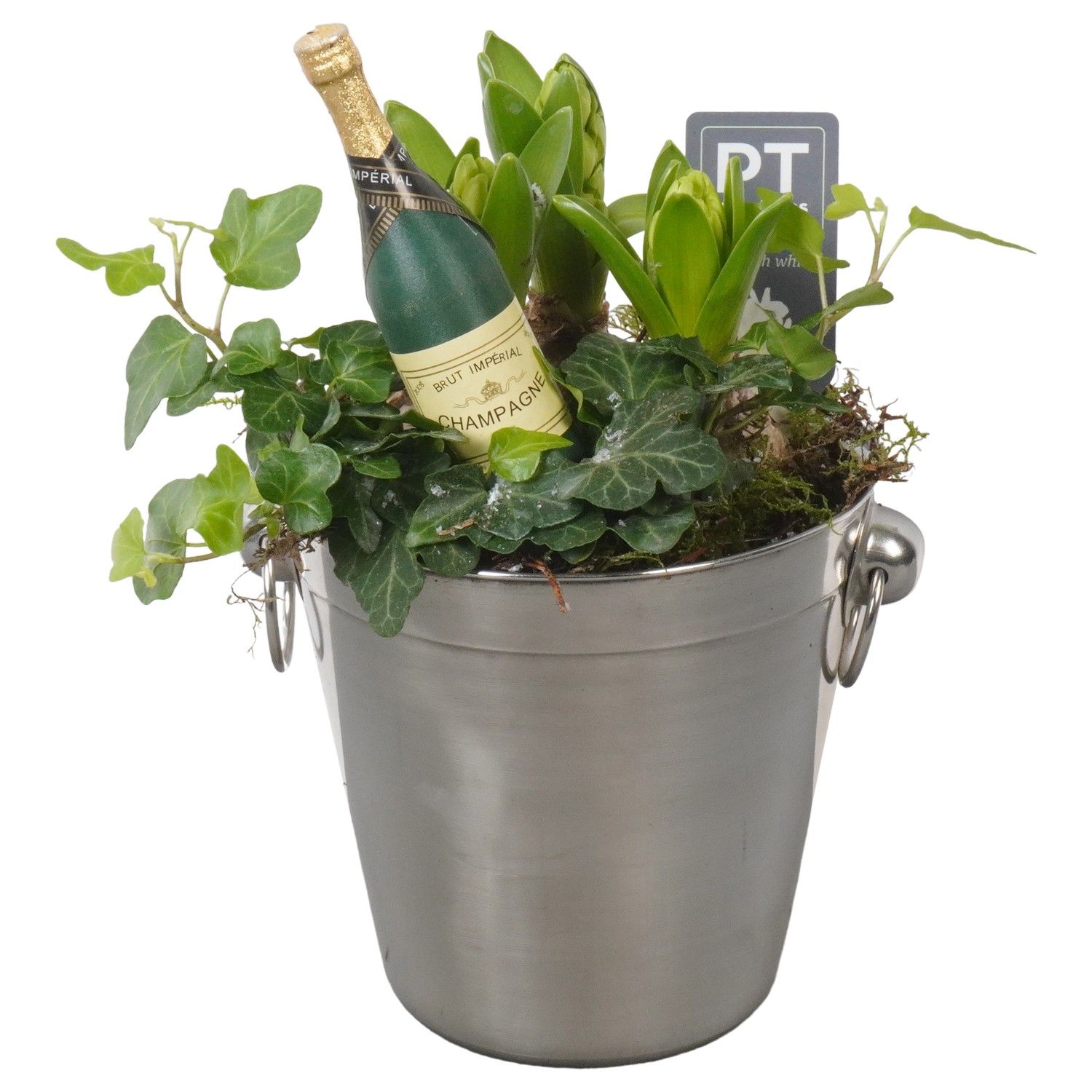 PTON7918 Arrangement New Year in metaal emmer, D 14 cm