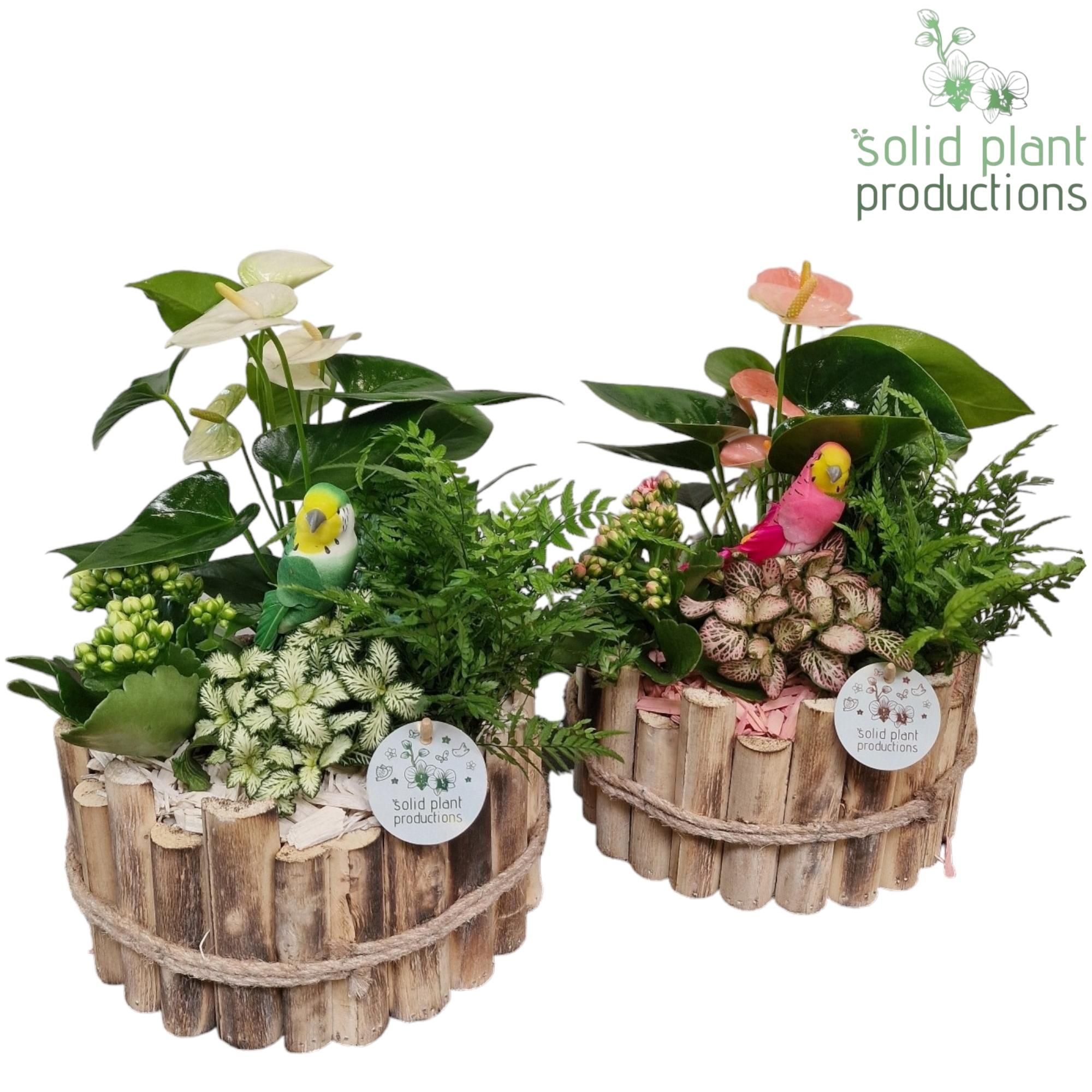 HAT002 Milano Large White/Pink Mix, D 23