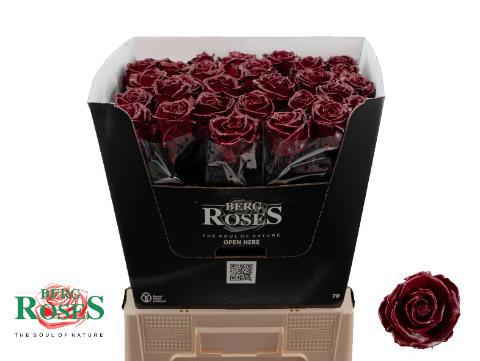 Роза од. Овериг в воске 70, шт.