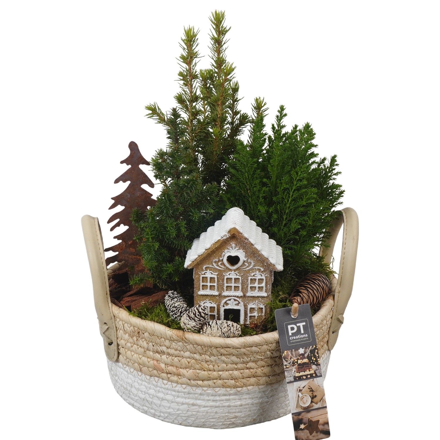 PTCWW6889 Arrangement Winter in rieten mand, D 21 cm
