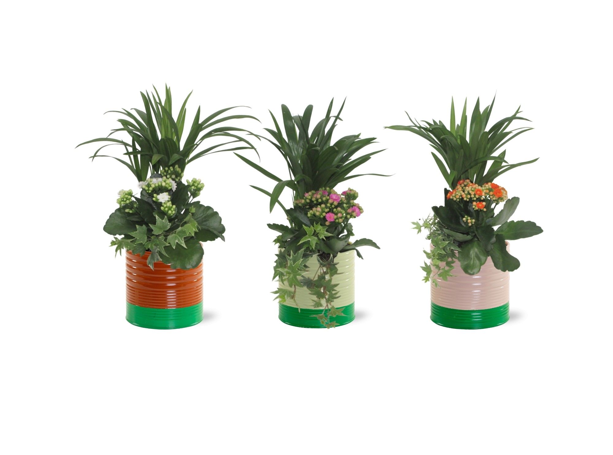 Collectie "Natural Bubble" Arrangement in Zink Nola, D 13