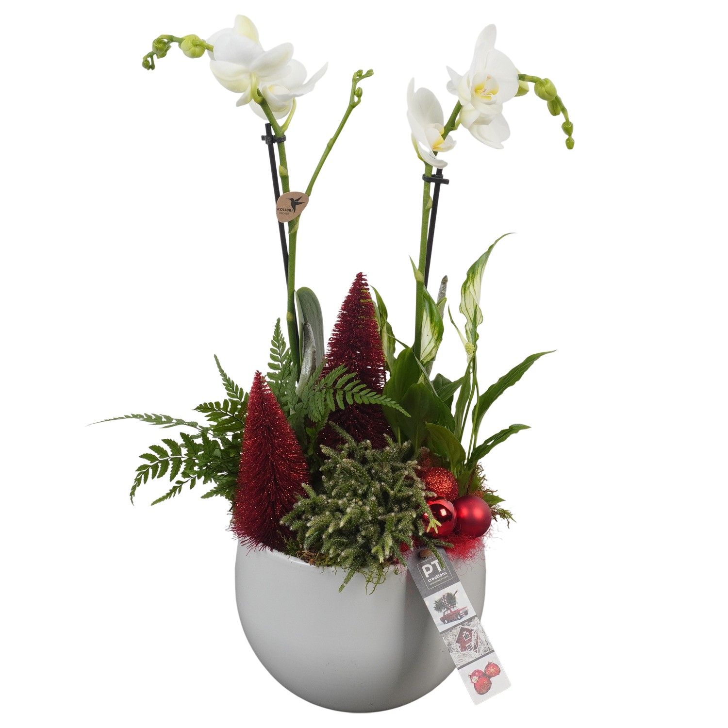 PTCHR7250 Arrangement Christmas Red in keramiek pot, D 19 cm