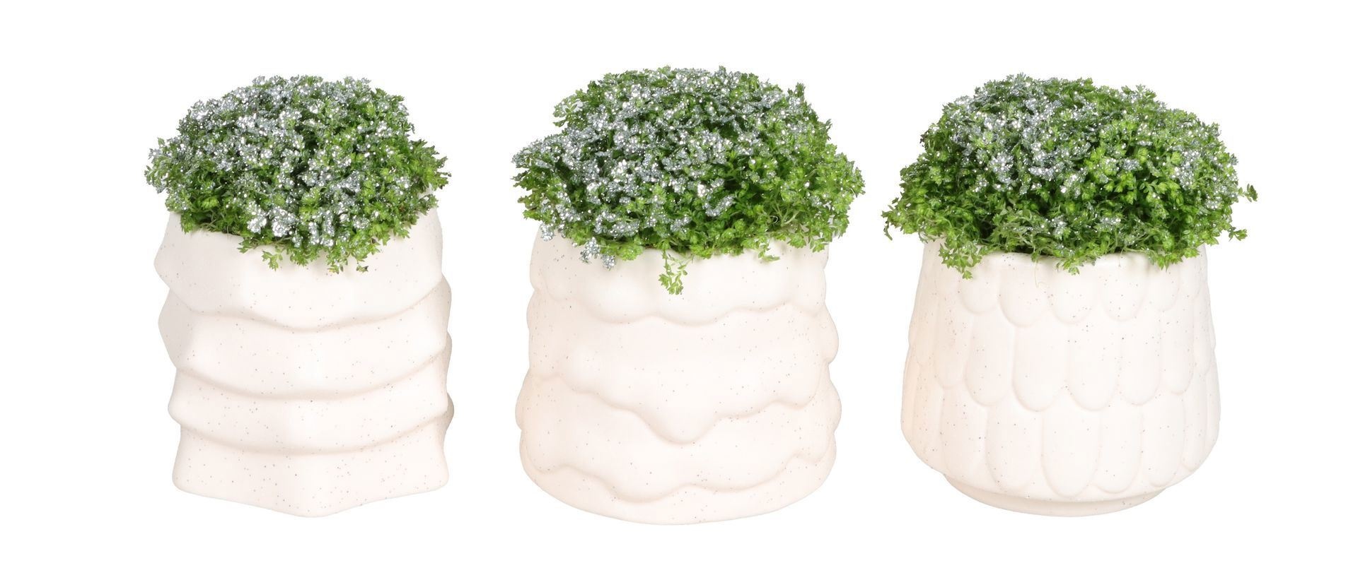 L 67454 With Selaginella Apoda Glitter 6 cm, D 6