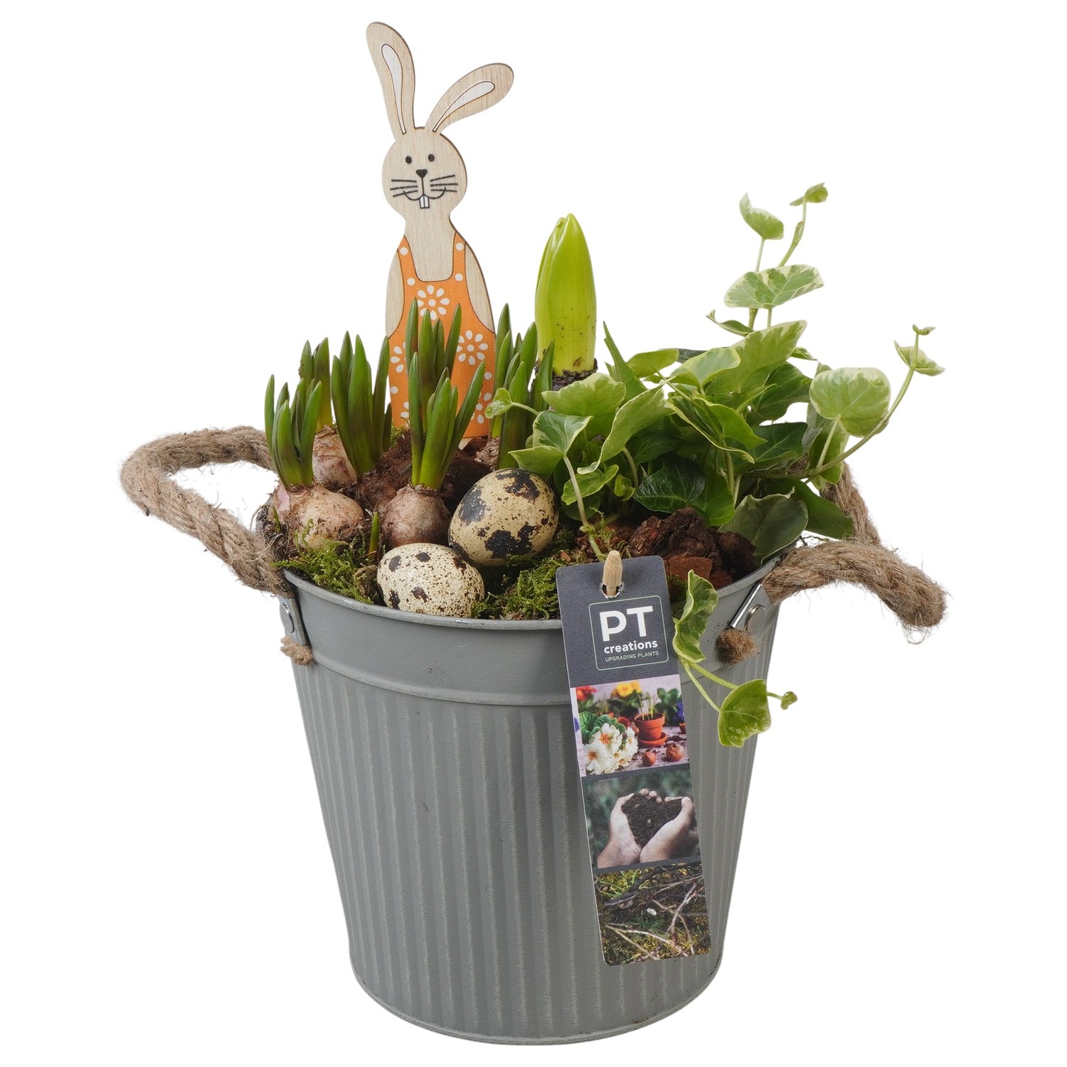 PTBMP5670 Arrangement Easter Bulbs Mix in zink pot, D 16
