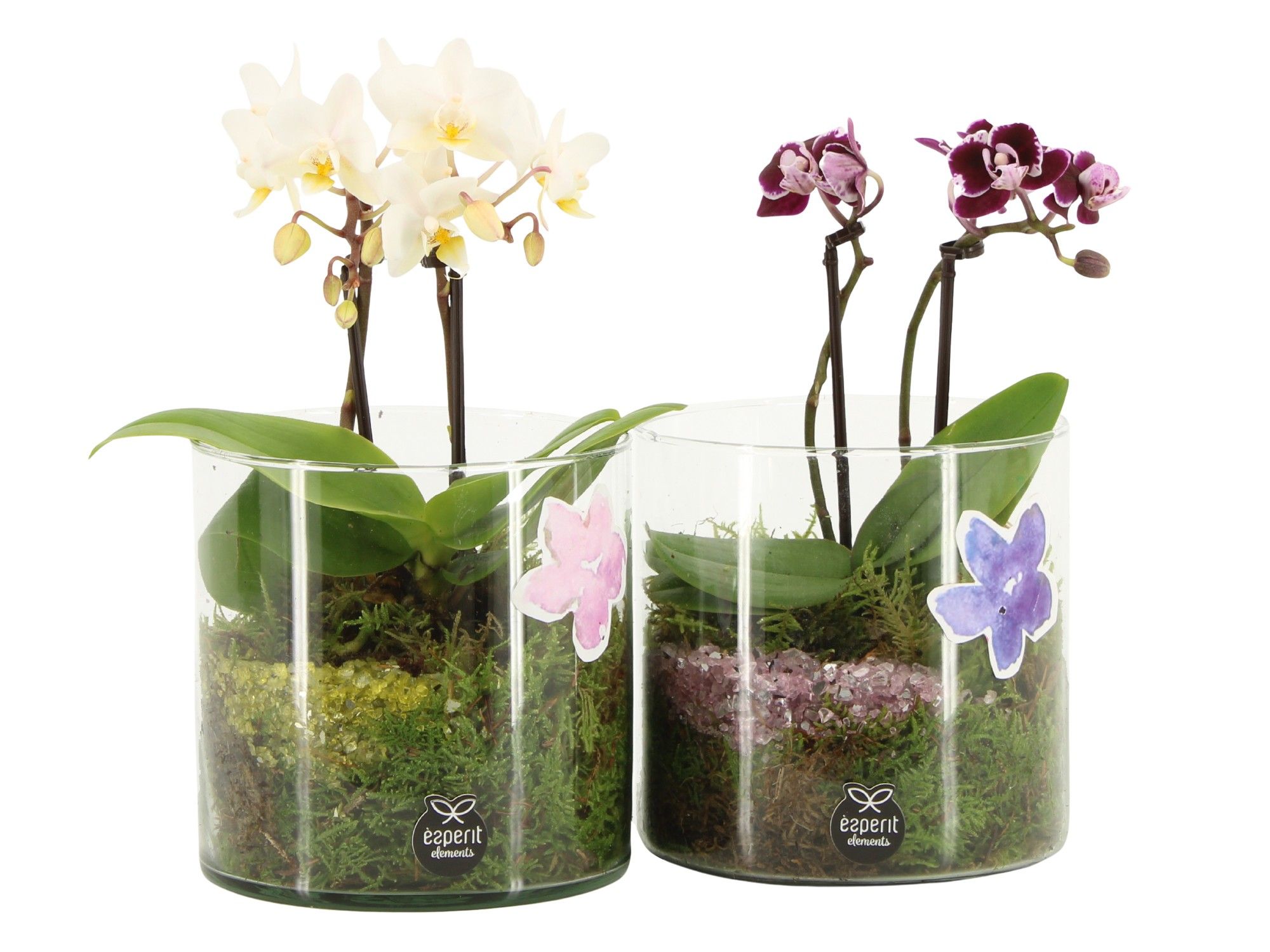 11616: Consideration arrangement, D 12 cm