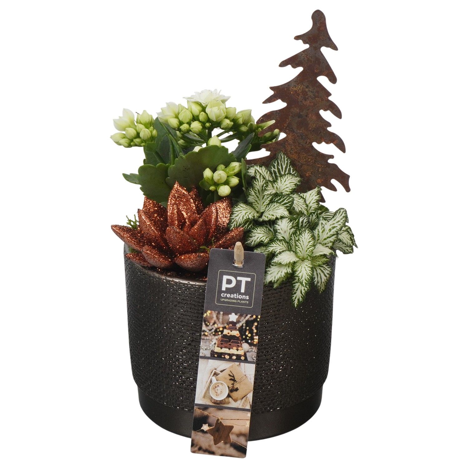 PTCHB9757 Arrangement Christmas Bronze in keramiek pot, D 12 cm
