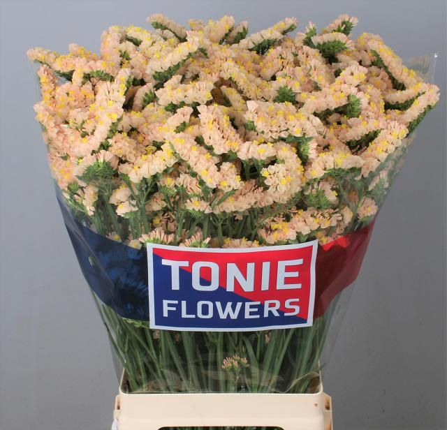 Статица Синует Хани Априкот 80, шт.