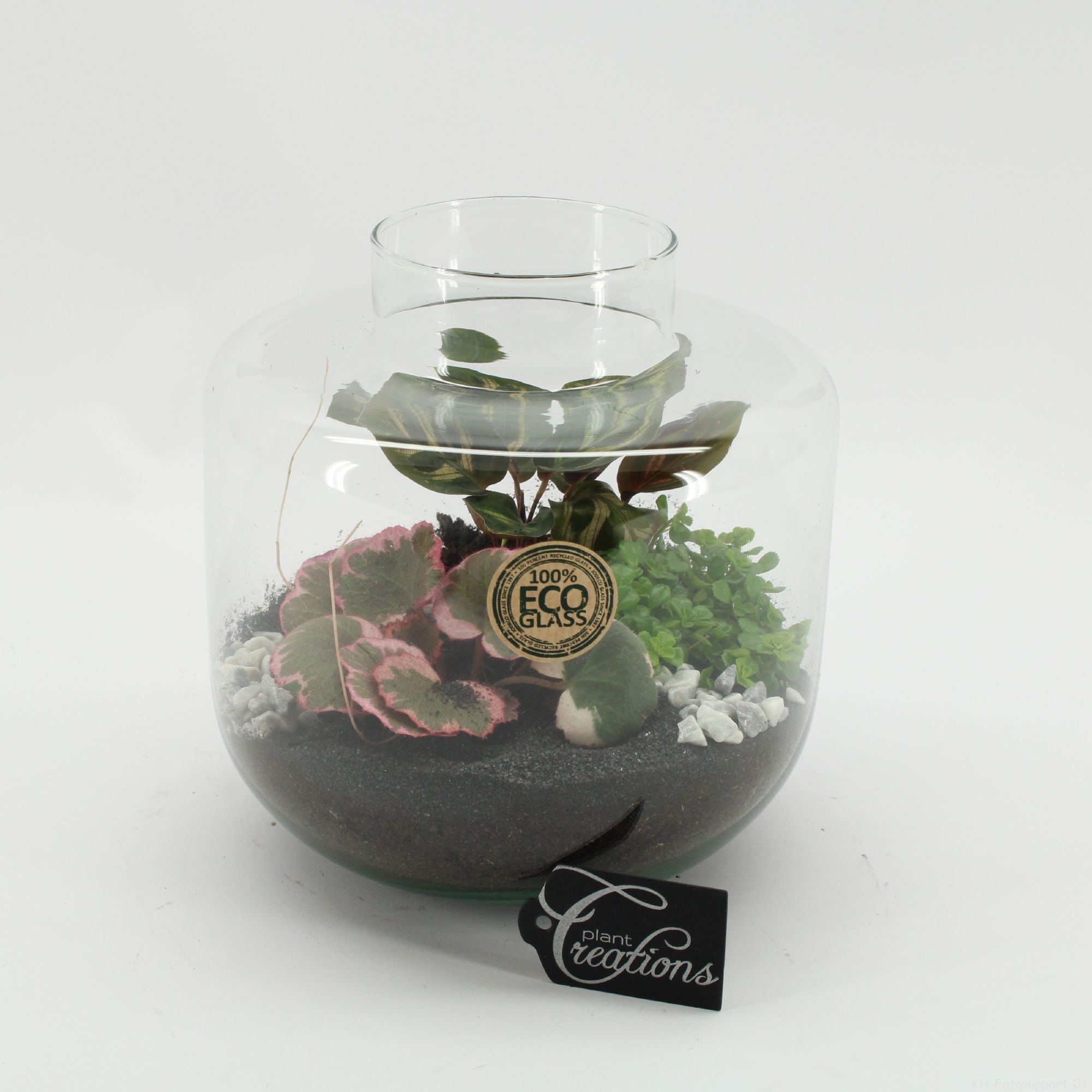GRCR-2549 Green Essentials terrarium, D 20 cm