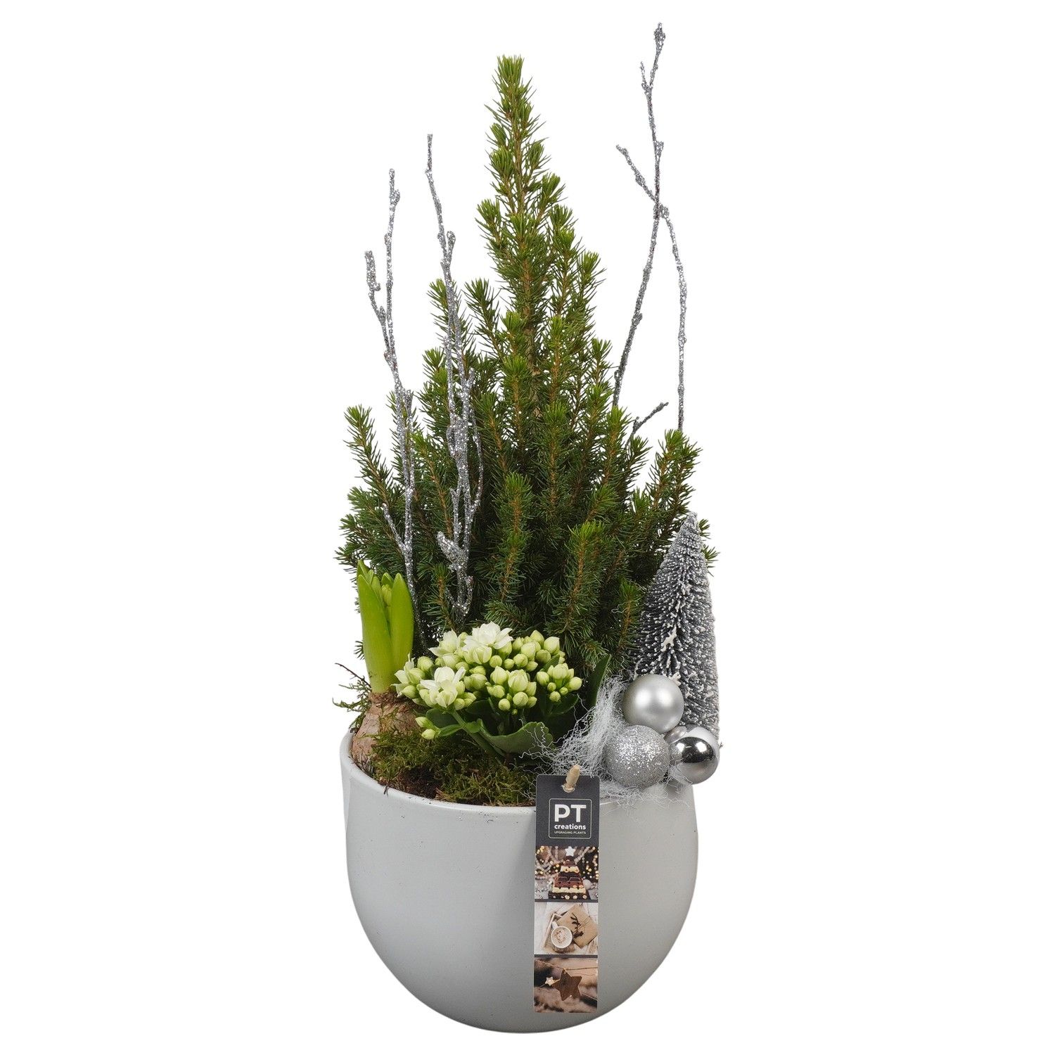 PTCHW4307 Arrangement Christmas White in keramiek pot, D 19 cm