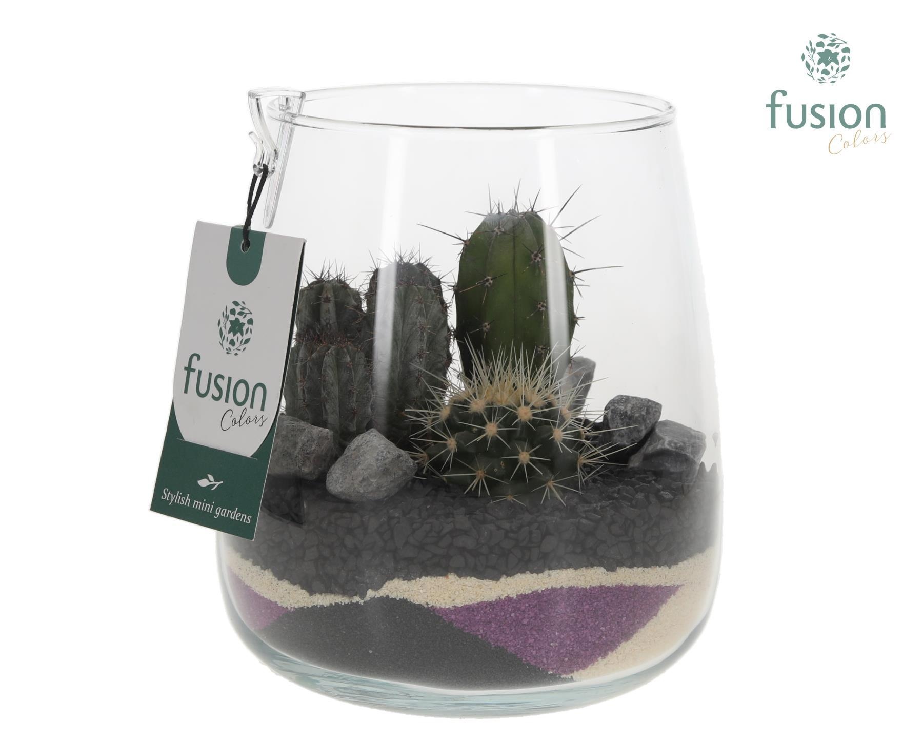 Glazen vaas Alzada met Cactus arrangement, D 15