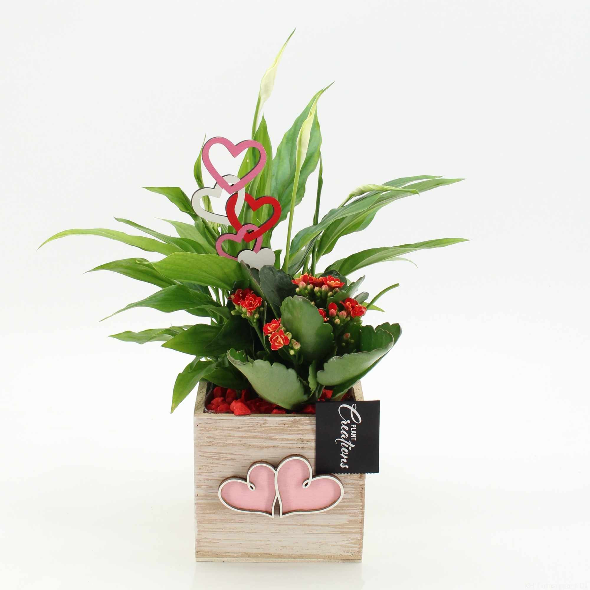 RMCR-2622R Romantic Essentials, D 11