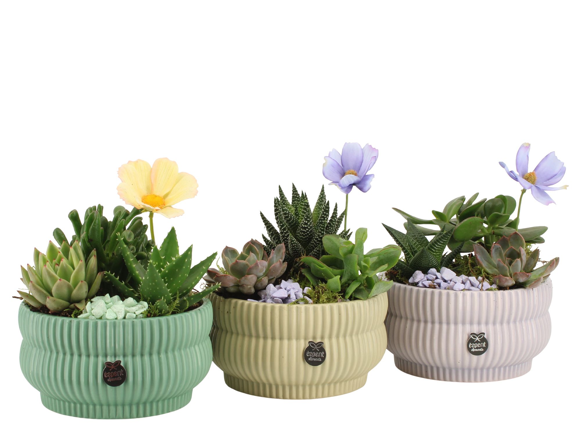 11573: Consideration arrangement, D 17