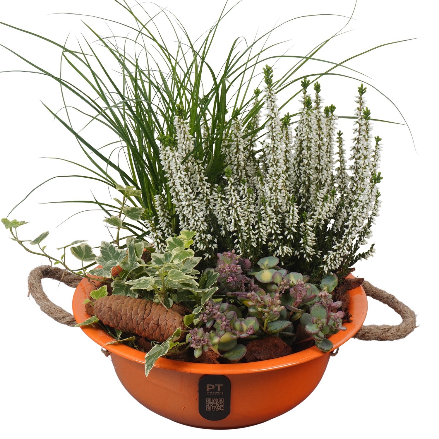 PTHO7569 Arrangement Autumn Outdoor in metalen schaal, D 24