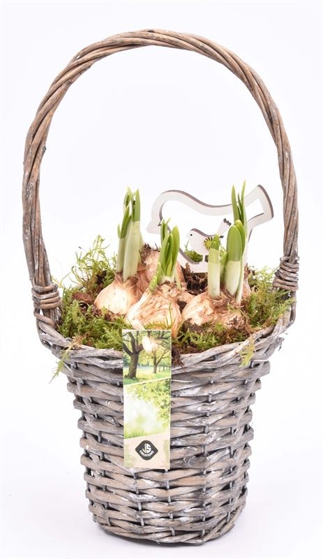 Wilg hengselmand gy 17cm, D 15