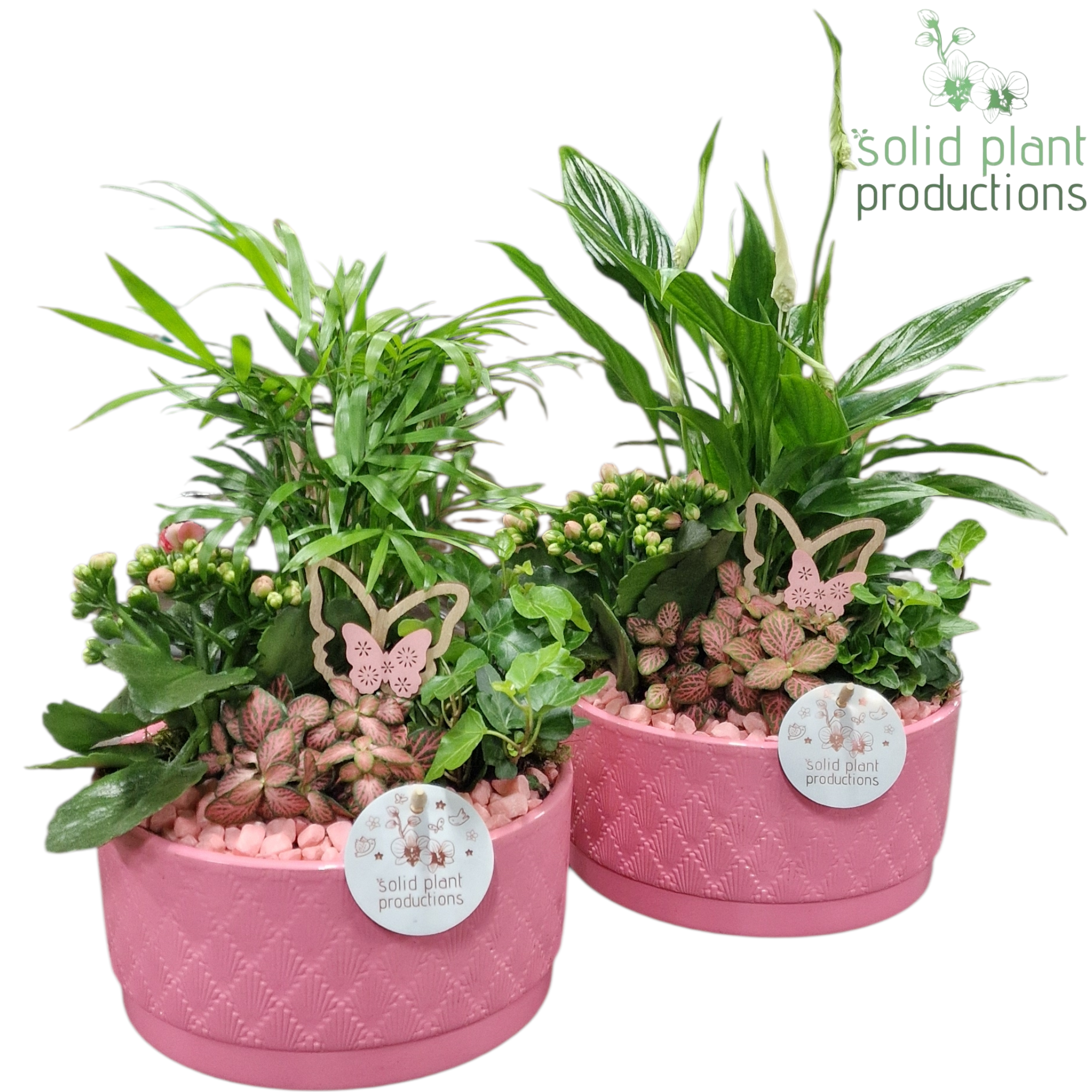 SC003 Loes Pink Mix, D 18