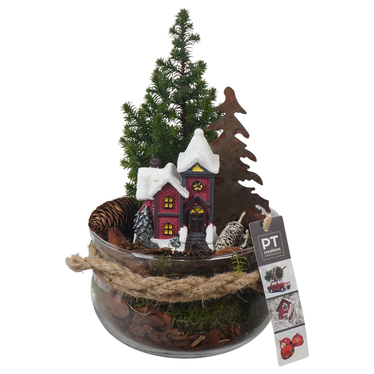 PTCWW6822 Arrangement Winter in glas schaal, D 16 cm