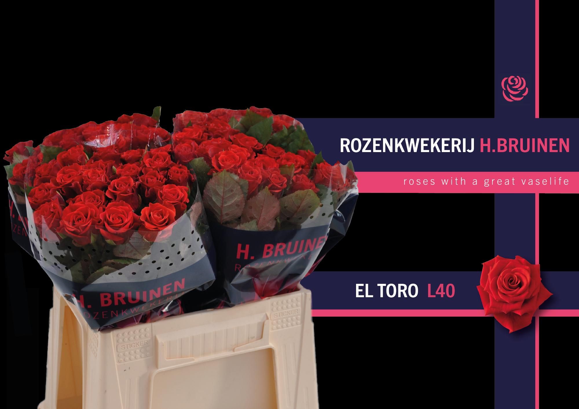 Роза од. Эль Торо 40, шт. Роза од. Эль Торо 40, шт.