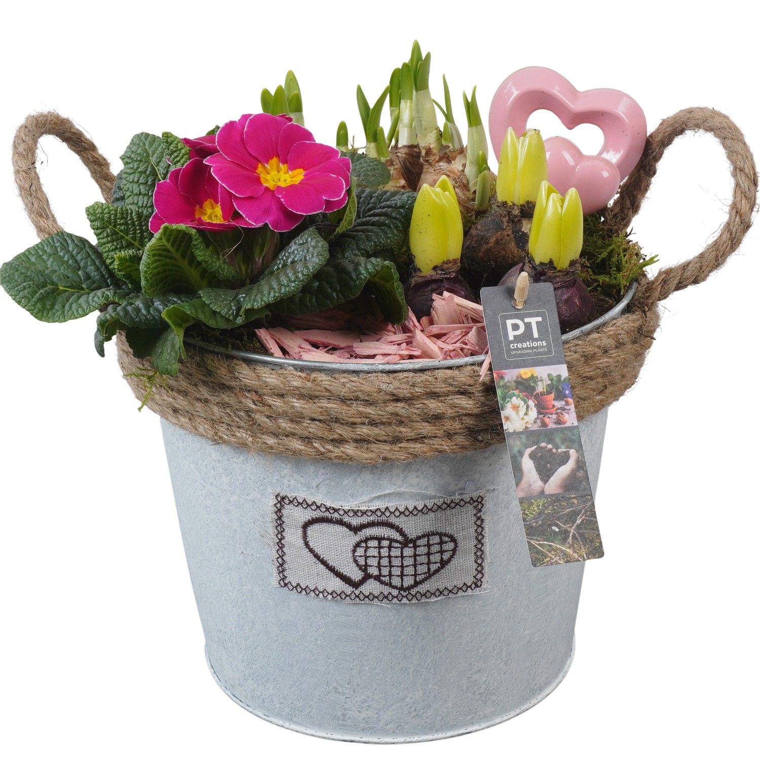 PTVO3604 Arrangement Valentine Outdoor in metalen pot, D 22