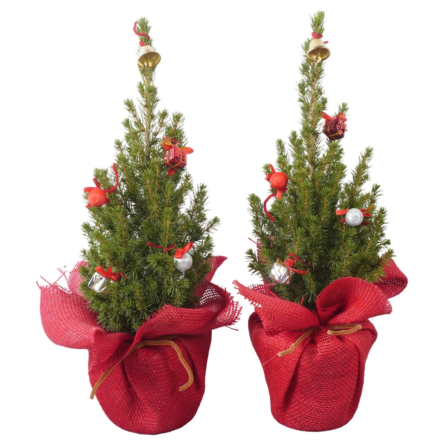 PTK26317 Conica Perfecta in jute met decoratie, D 13