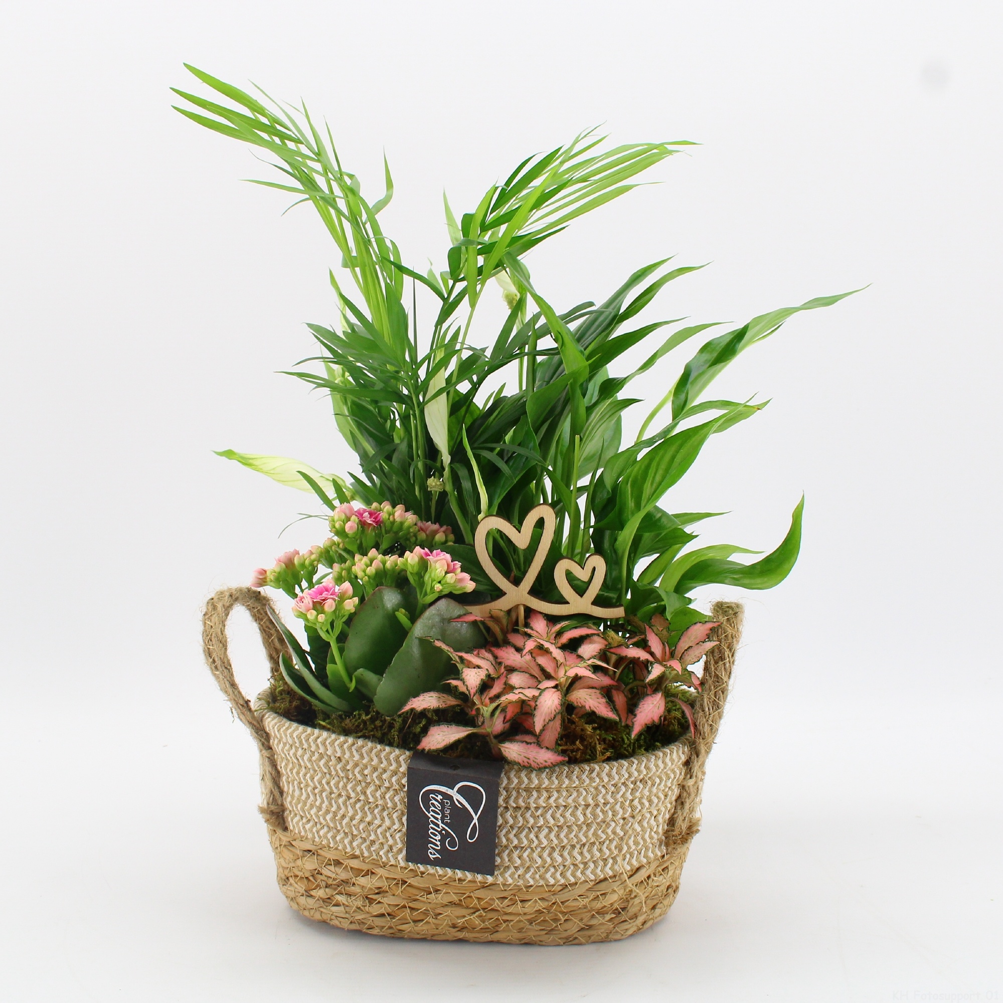 FDRM-2618RZ Romantic Fundamentals, D 24