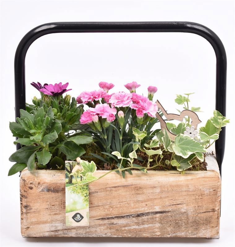 Hout rechthoek met hendel 26x11cm, D 27