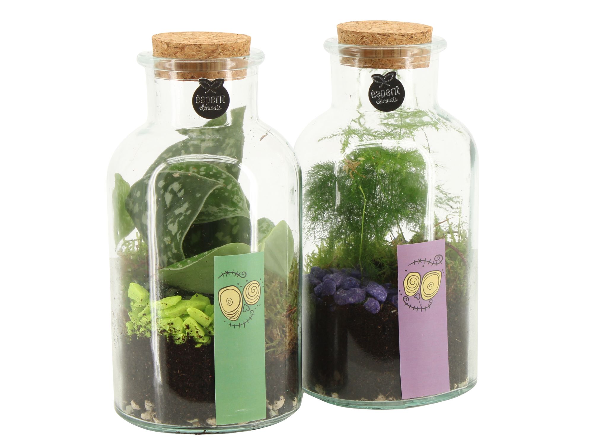83293: Halloween terrarium, D 10 cm 83293: Halloween terrarium, D 10 cm