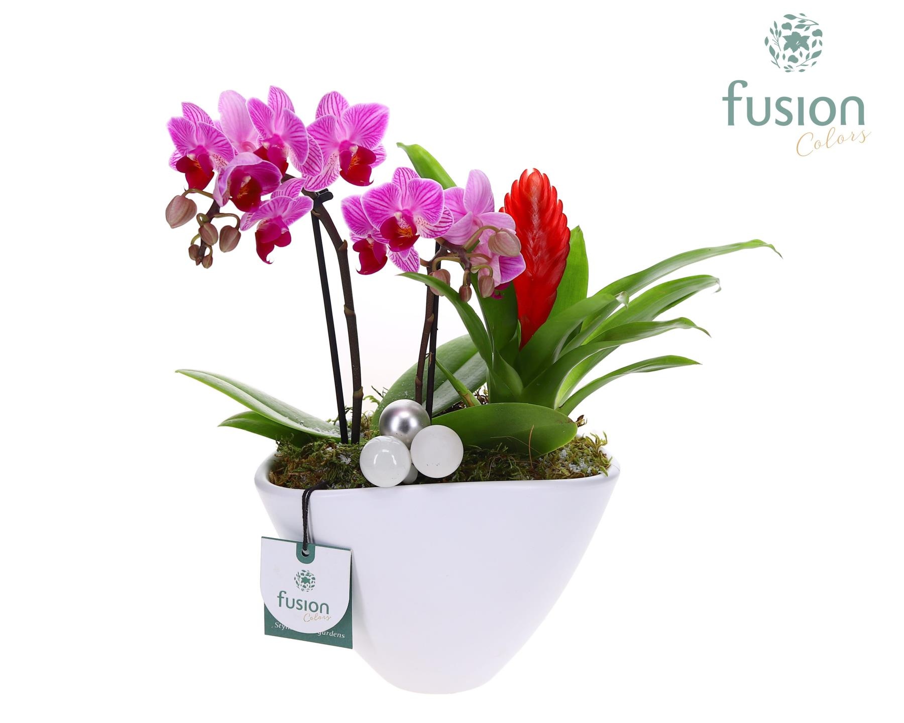 Pot keramiek Ovaal Kerst met Arrangement, D 19