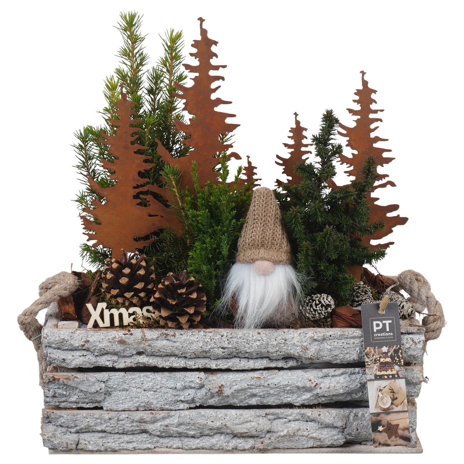 PTCWW6855 Arrangement Winter in houten bak, D 30 cm
