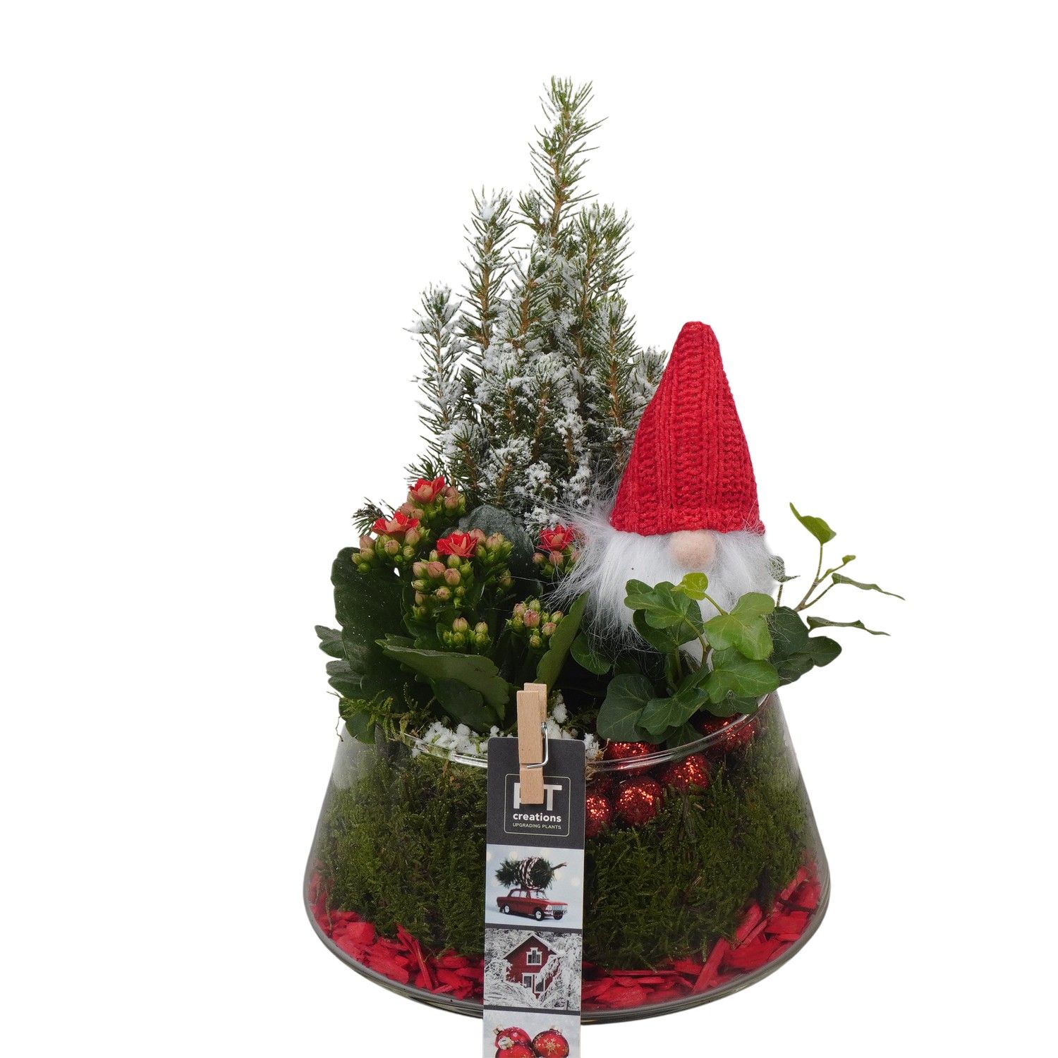 PTCHR7475 Arrangement Christmas Red in glazen pot, D 18 cm
