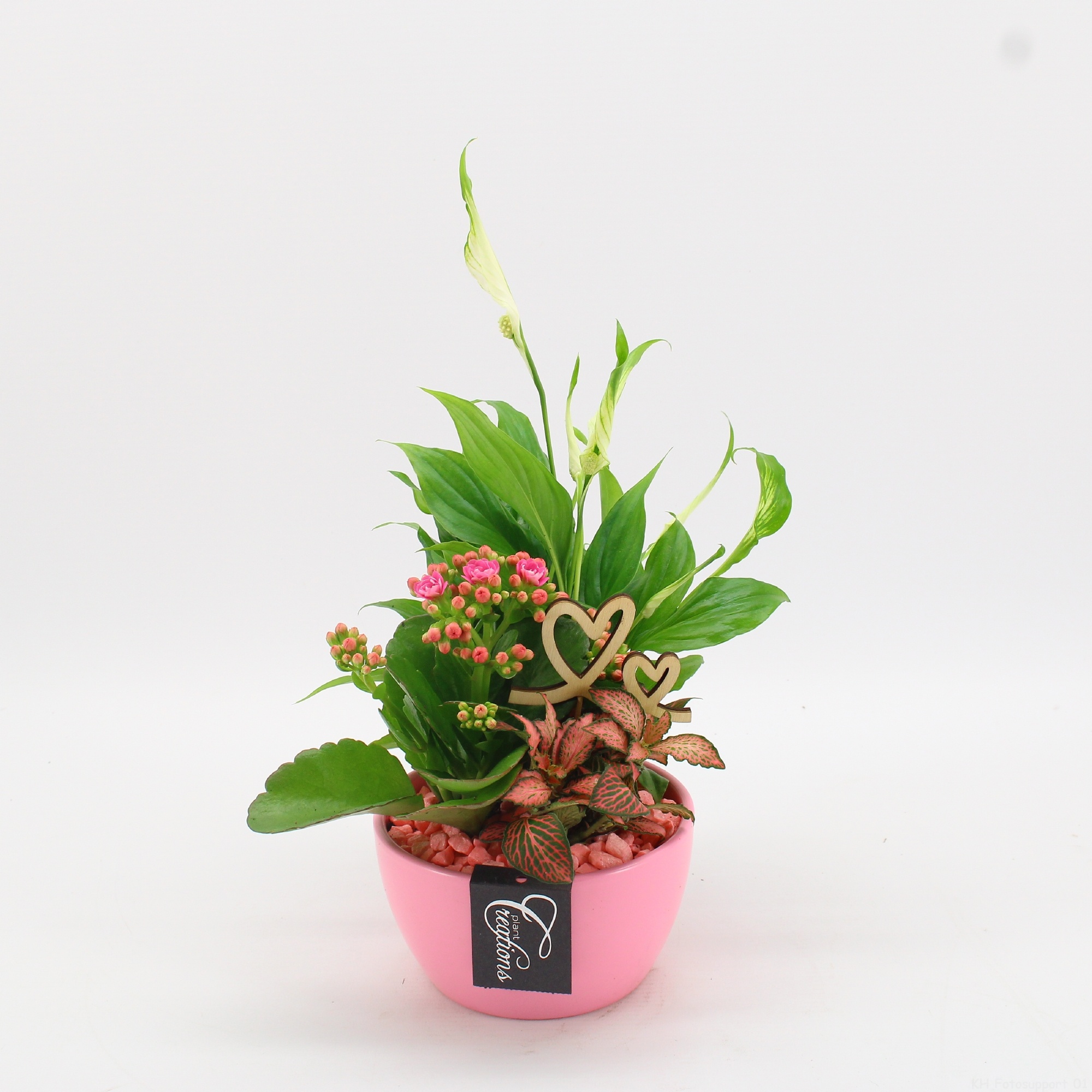 FDRM-2607RZ Romantic Fundamentals, D 14