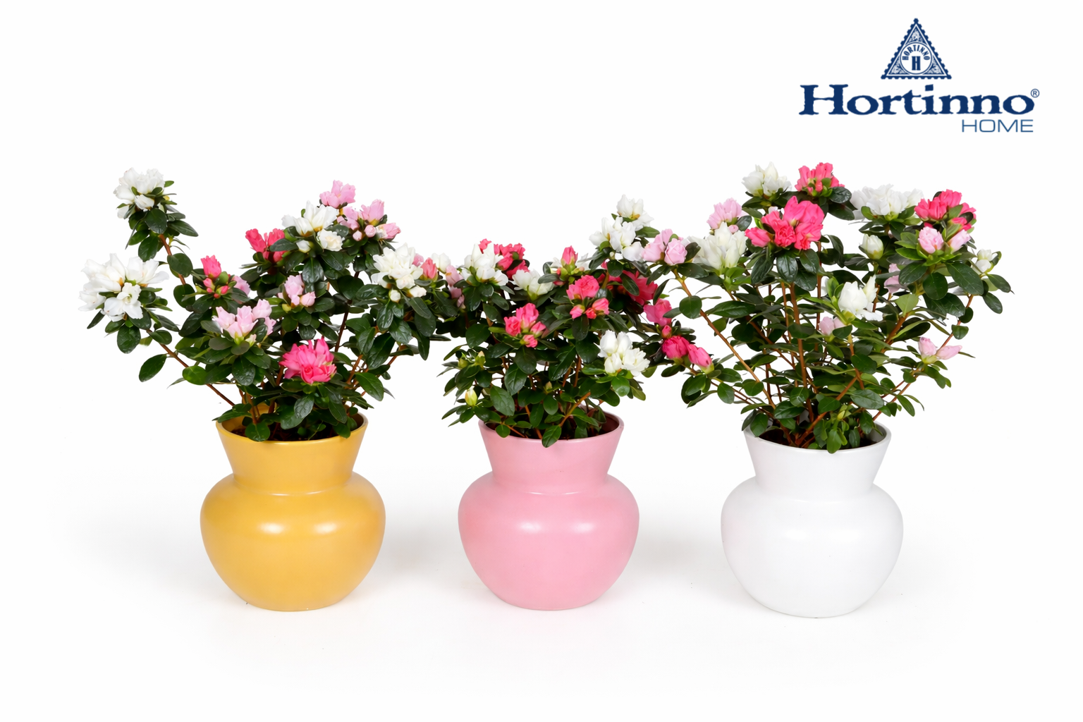 Hortinno® Home Bloom'Z Bouquet Vaas, D 13