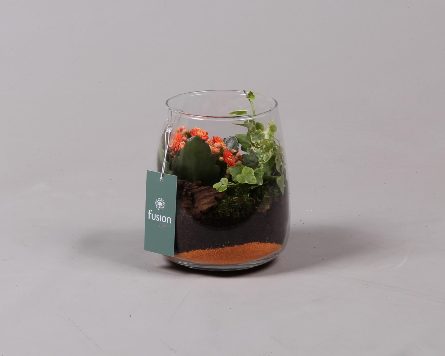 Pasen glazen windlicht Julia oranje, D 15